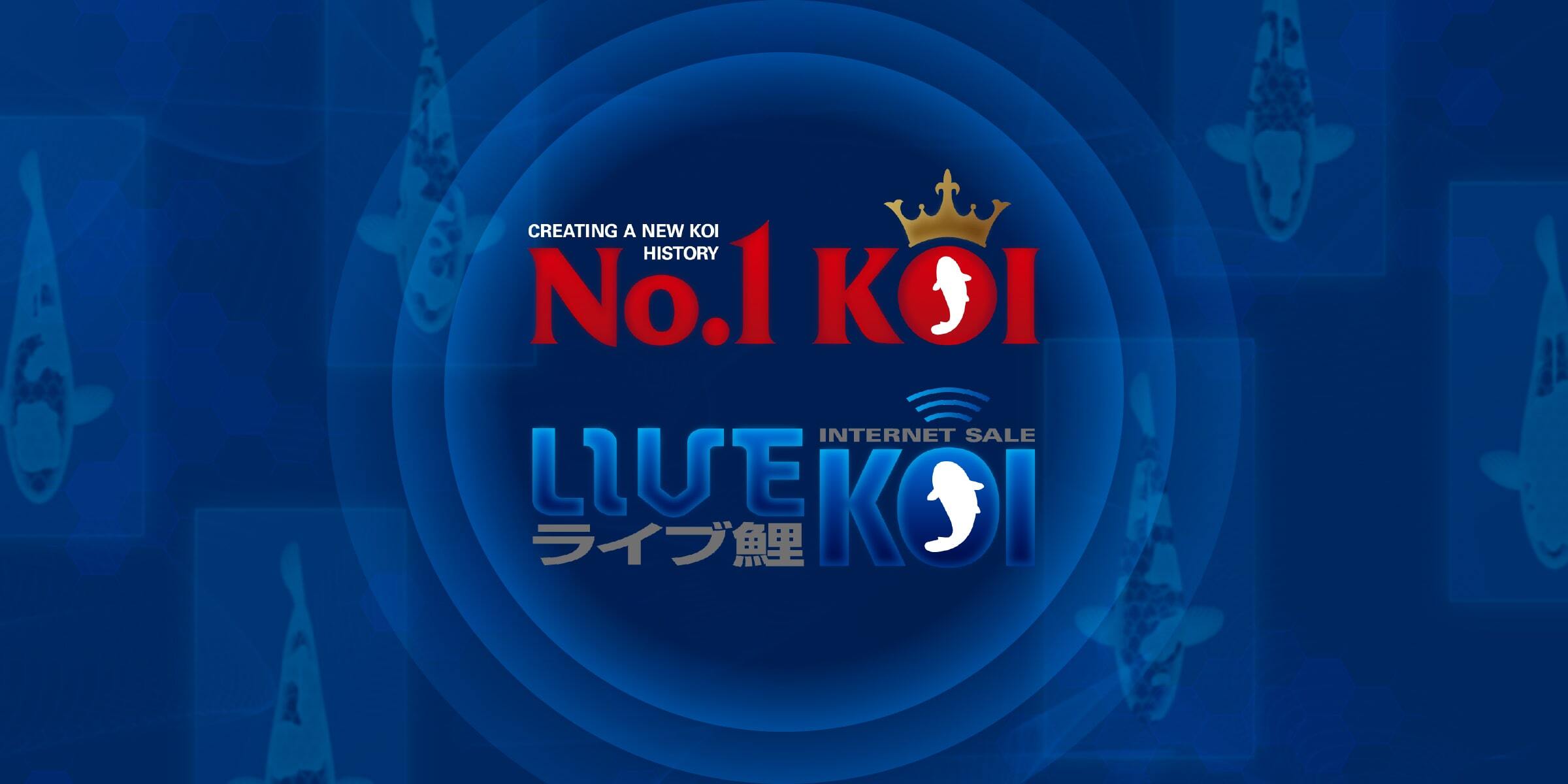 “16周年記念ライブ鯉オークション！”開催のお知らせ